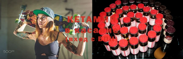 шишки Бикин