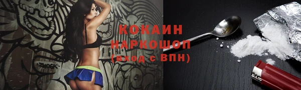 a pvp Новозыбков