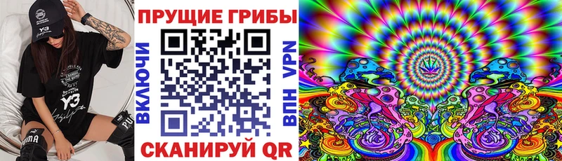 Галлюциногенные грибы ЛСД  ОМГ ОМГ ссылки  Новодвинск  закладки 